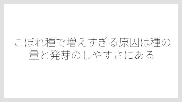こぼれ種で増えすぎる原因は種の量と発芽のしやすさにある