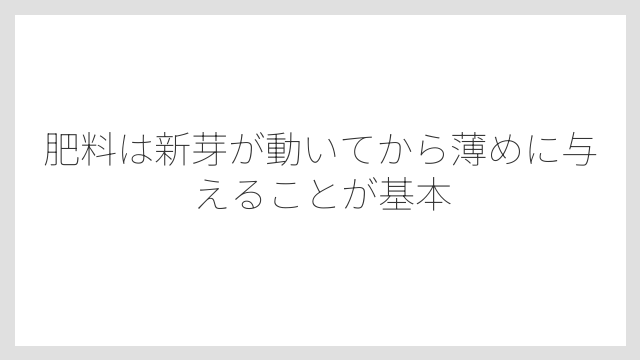 肥料は新芽が動いてから薄めに与えることが基本
