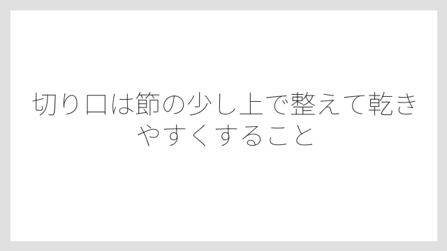 切り口は節の少し上で整えて乾きやすくすること