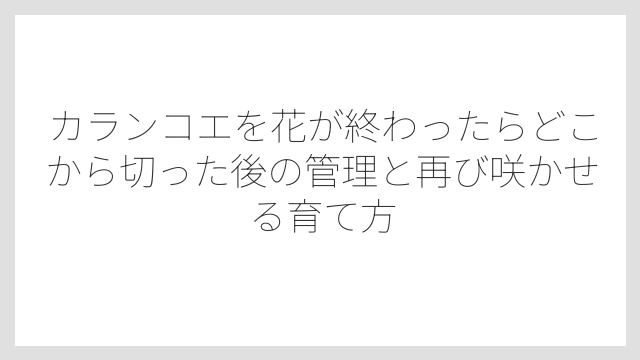 道具は清潔なものを使うことで黒ずみや腐れを防げる