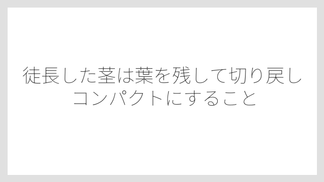 徒長した茎は葉を残して切り戻しコンパクトにすること