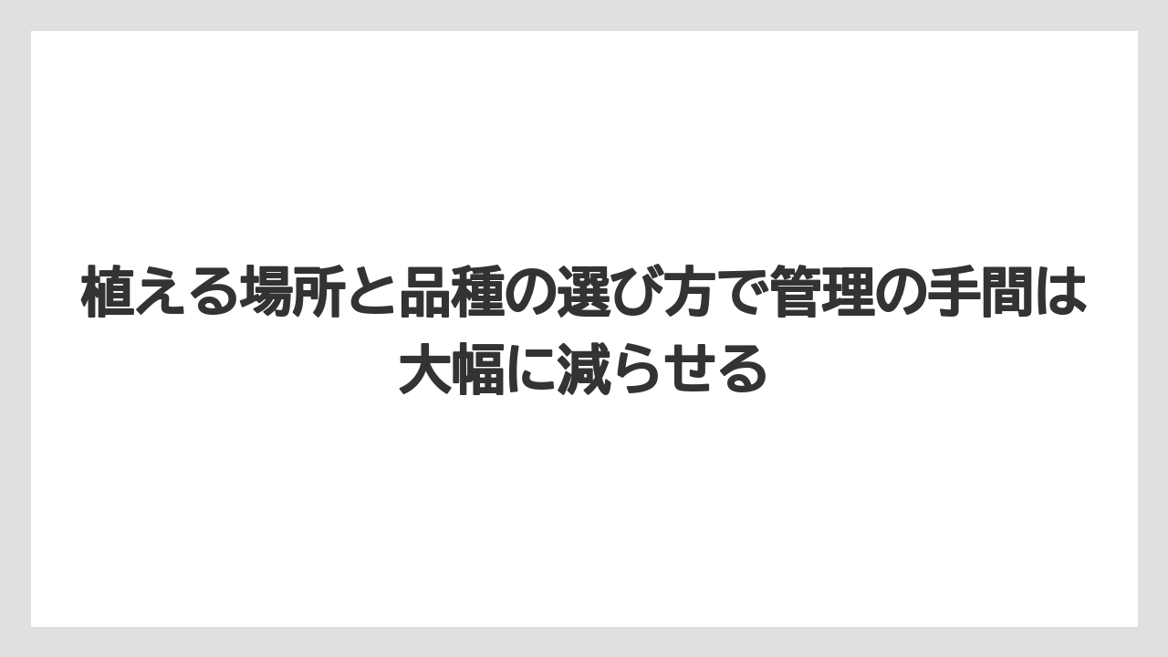 【いけない】【庭】【栽培】【植え】【葉】植える場所と品種の選び方で管理の手間は大幅に減らせる