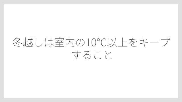 冬越しは室内の10℃以上をキープすること