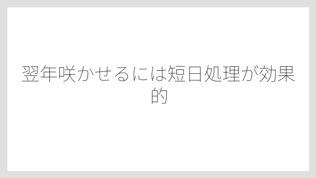 翌年咲かせるには短日処理が効果的