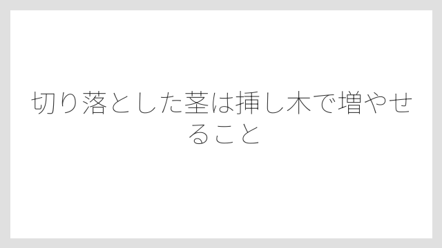 切り落とした茎は挿し木で増やせること