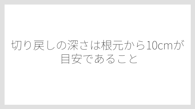 切り戻しの深さは根元から10cmが目安であること