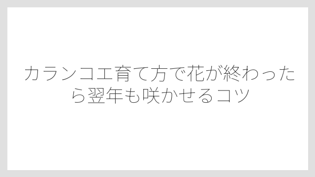切り落とした茎は挿し木で増やせること