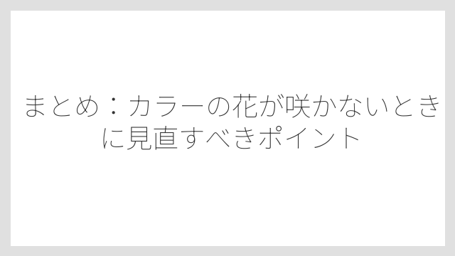まとめ：カラーの花が咲かないときに見直すべきポイント
