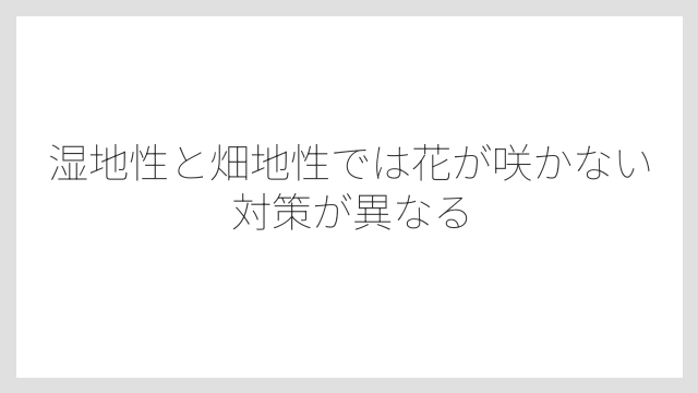 湿地性と畑地性では花が咲かない対策が異なる