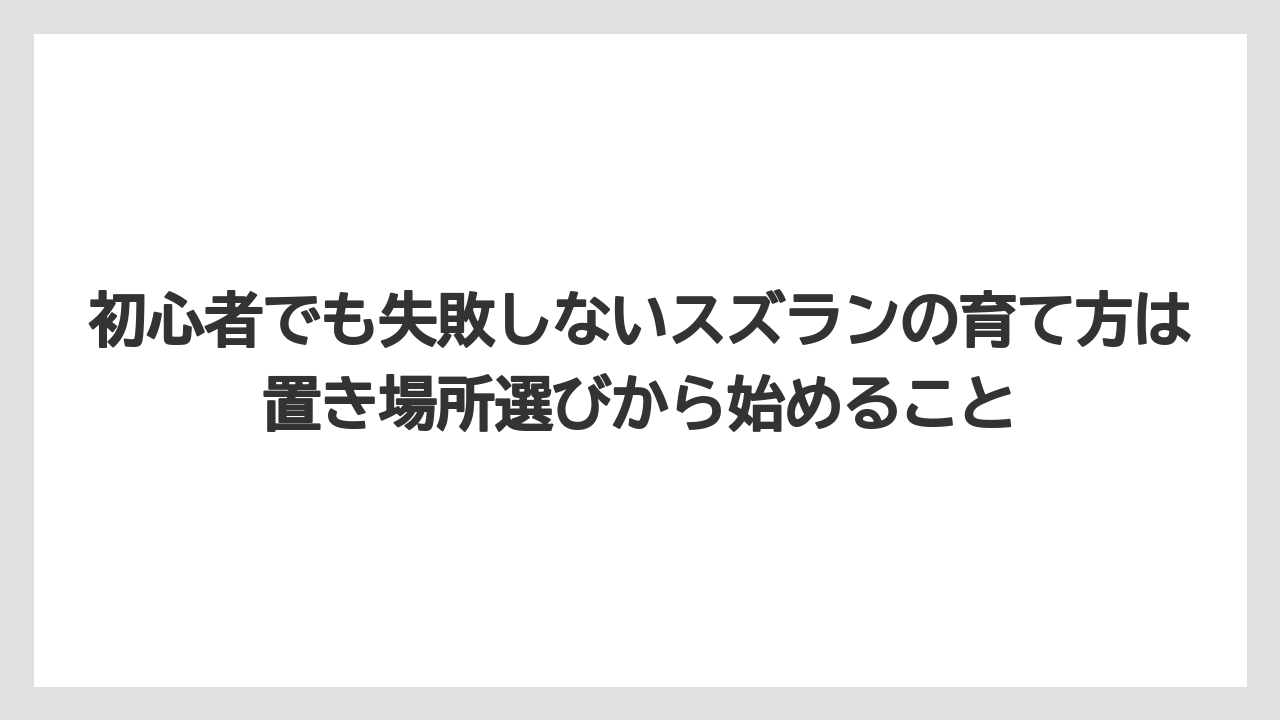 【栽培】【農園】【農業】初心者でも失敗しないスズランの育て方は置き場所選びから始めること