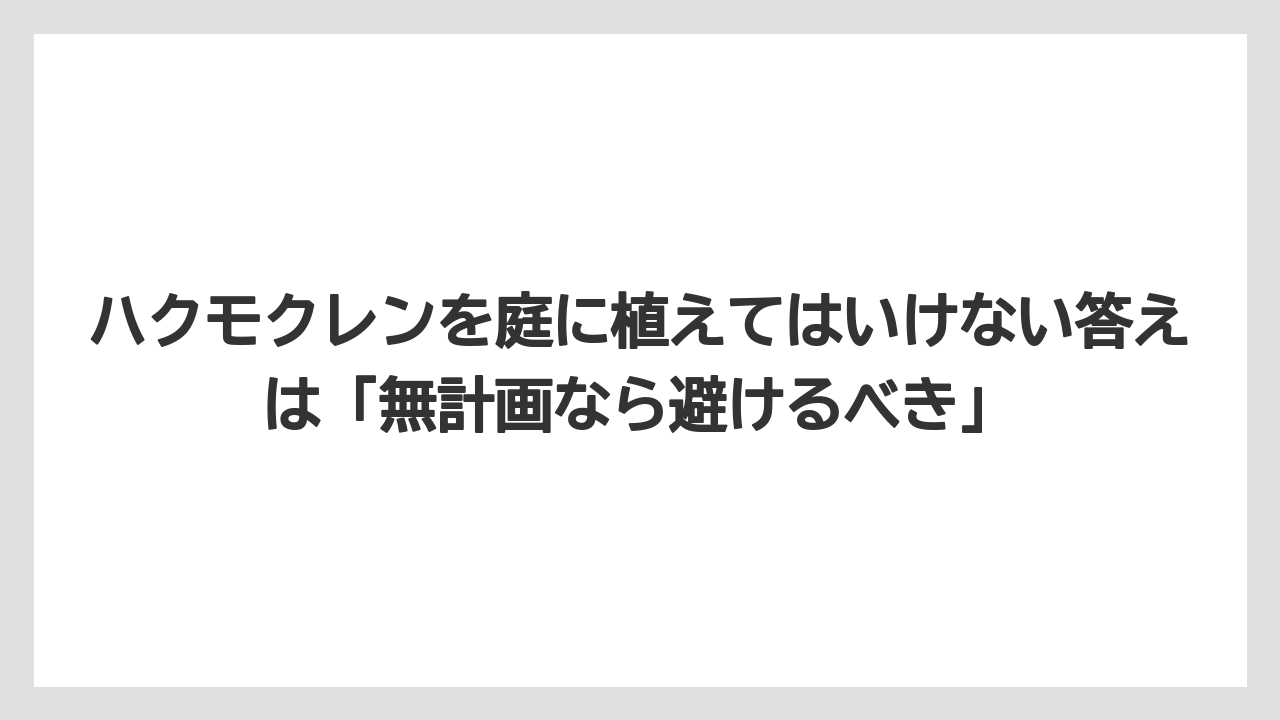 【栽培】【農園】【農業】ハクモクレンを庭に植えてはいけない答えは「無計画なら避けるべき」