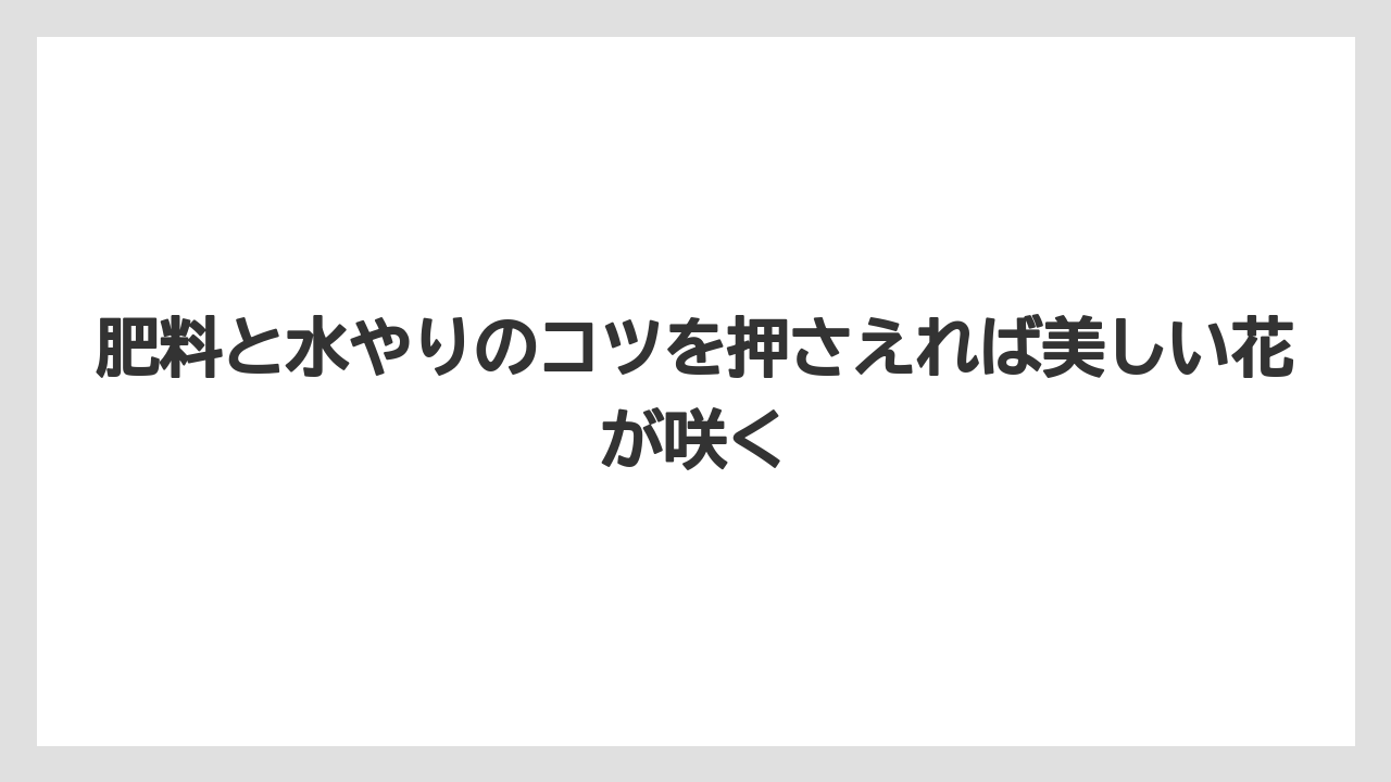 【ニンジン】【庭】【後悔】【栽培】肥料と水やりのコツを押さえれば美しい花が咲く