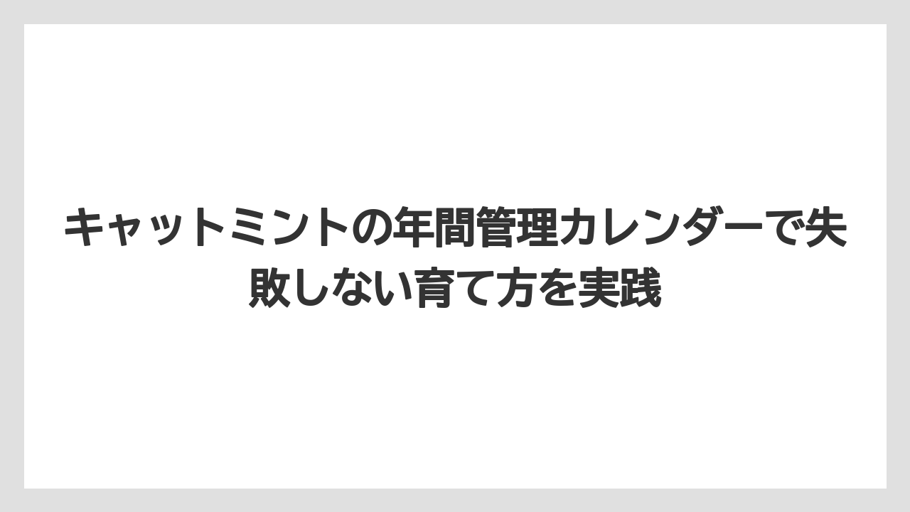 【ミント】【栽培】【猫】キャットミントの年間管理カレンダーで失敗しない育て方を実践