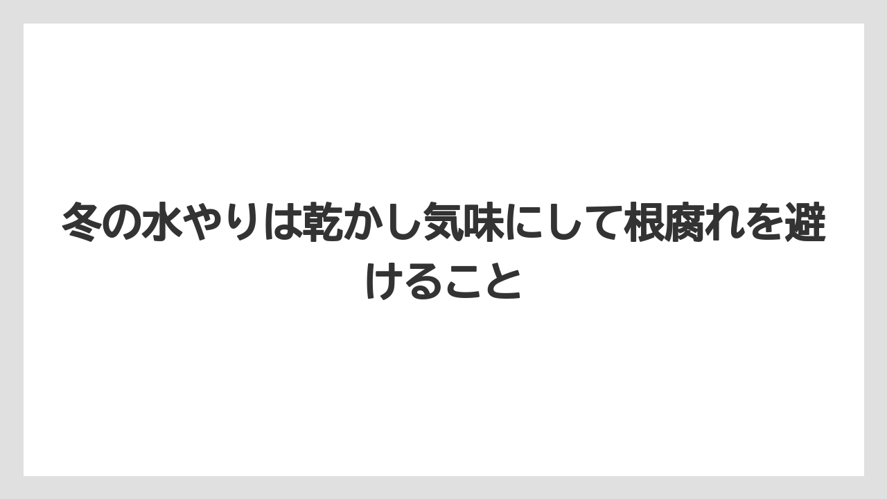 【スモークツリー】【剪定】【枯れ】【栽培】冬の水やりは乾かし気味にして根腐れを避けること