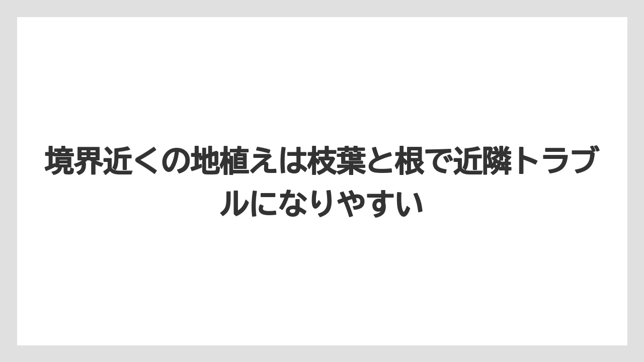 境界近くの地植えは枝葉と根で近隣トラブルになりやすい