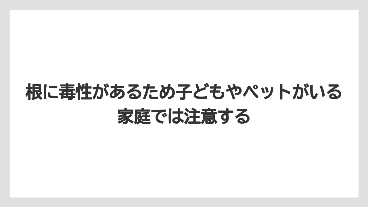 【ミント】【栽培】【猫】根に毒性があるため子どもやペットがいる家庭では注意する