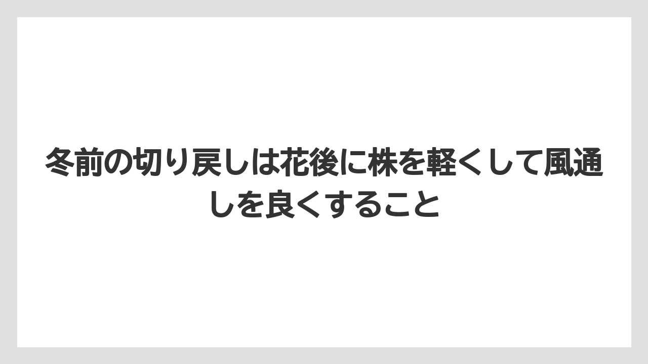 【栽培】【農園】【農業】冬前の切り戻しは花後に株を軽くして風通しを良くすること
