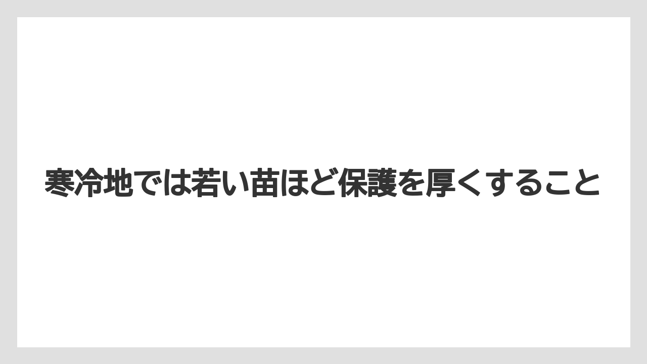 【栽培】【農園】【農業】寒冷地では若い苗ほど保護を厚くすること