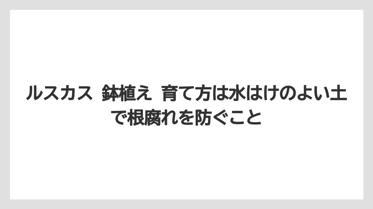 【ルスカス】【栽培】【花】【葉】ルスカス 鉢植え 育て方は水はけのよい土で根腐れを防ぐこと