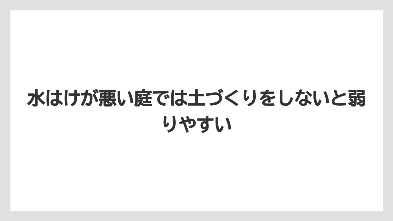 【いけない】【クリーピング】【庭】【後悔】【植え】水はけが悪い庭では土づくりをしないと弱りやすい