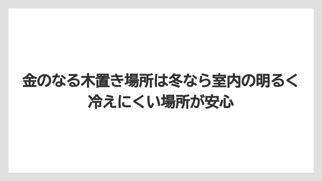 【栽培】【農園】【農業】金のなる木置き場所は冬なら室内の明るく冷えにくい場所が安心