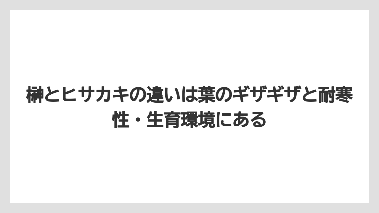 【いけない】【庭】【栽培】【植え】【育て方】榊とヒサカキの違いは葉のギザギザと耐寒性・生育環境にある