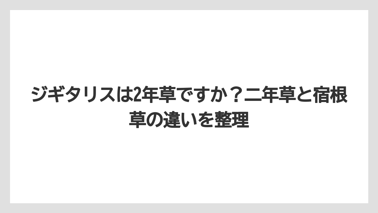 【栽培】【農園】【農業】ジギタリスは2年草ですか?二年草と宿根草の違いを整理