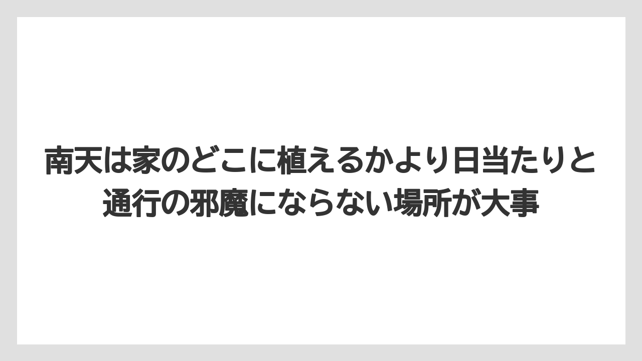 【栽培】【農園】【農業】南天は家のどこに植えるかより日当たりと通行の邪魔にならない場所が大事