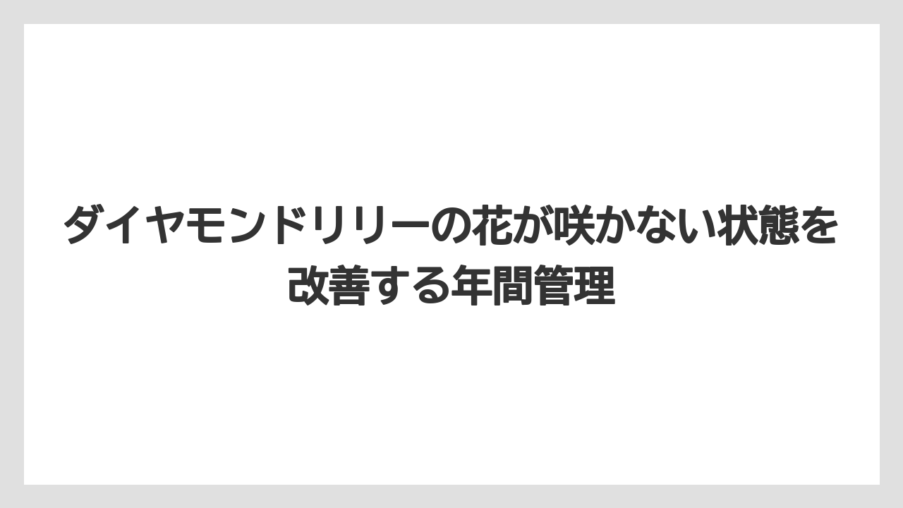 【栽培】【育て方】【花】【葉】日照不足では球根が太らず翌年の花が弱くなる