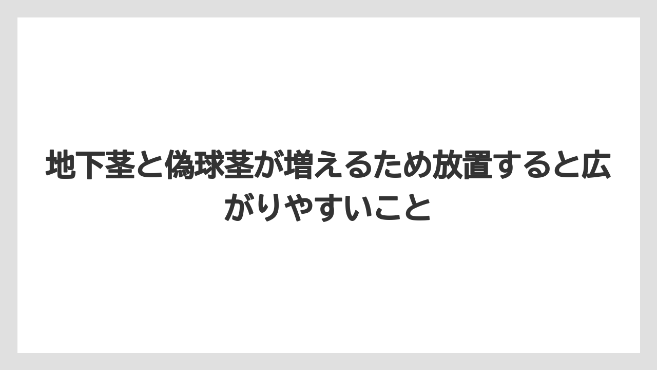 地下茎と偽球茎が増えるため放置すると広がりやすいこと