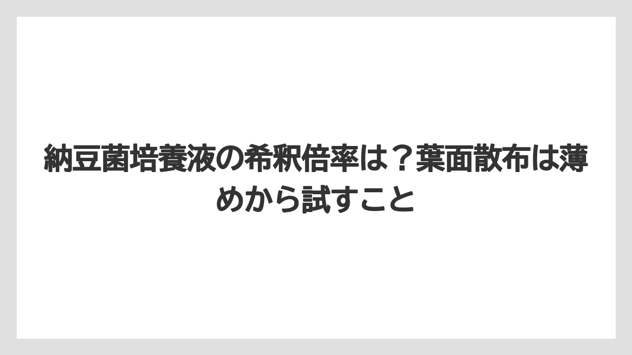 【栽培】【液体肥料】【肥料】納豆菌培養液の希釈倍率は?葉面散布は薄めから試すこと