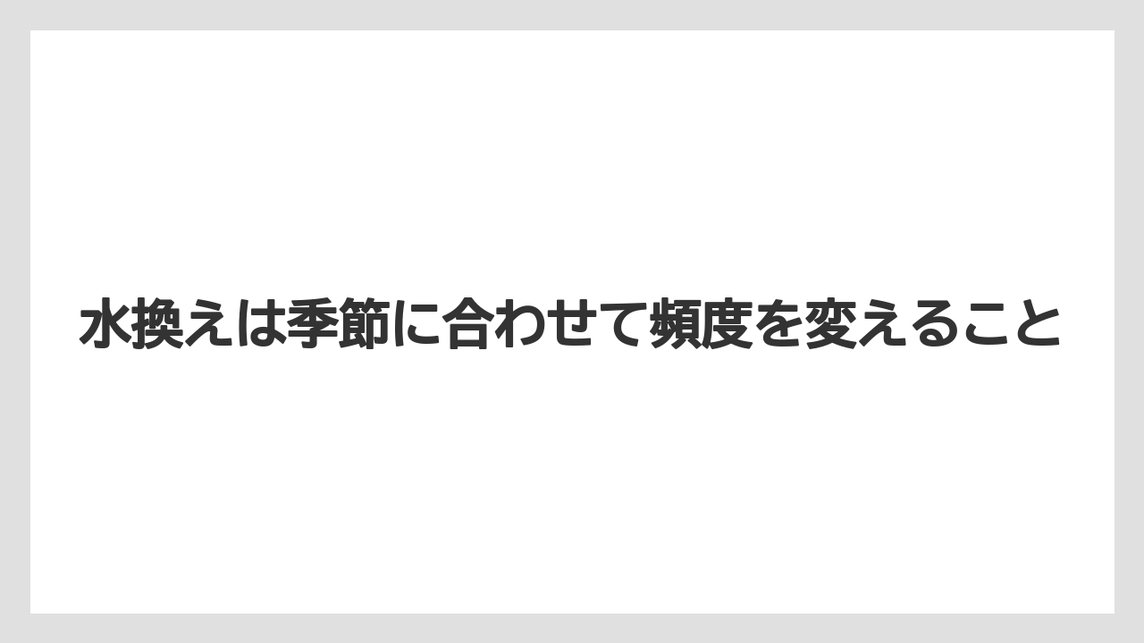 【まりも】【バラ】【栽培】水換えは季節に合わせて頻度を変えること