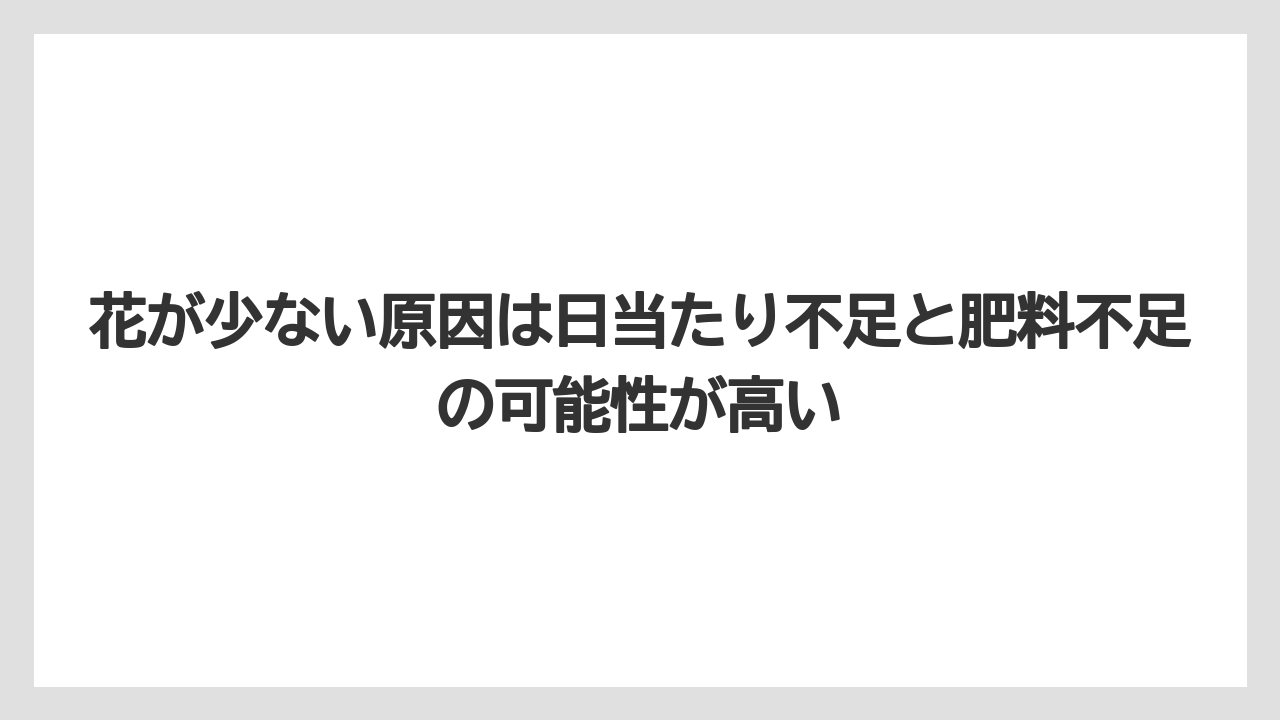 【ほったらかし】【栽培】【植え】花が少ない原因は日当たり不足と肥料不足の可能性が高い