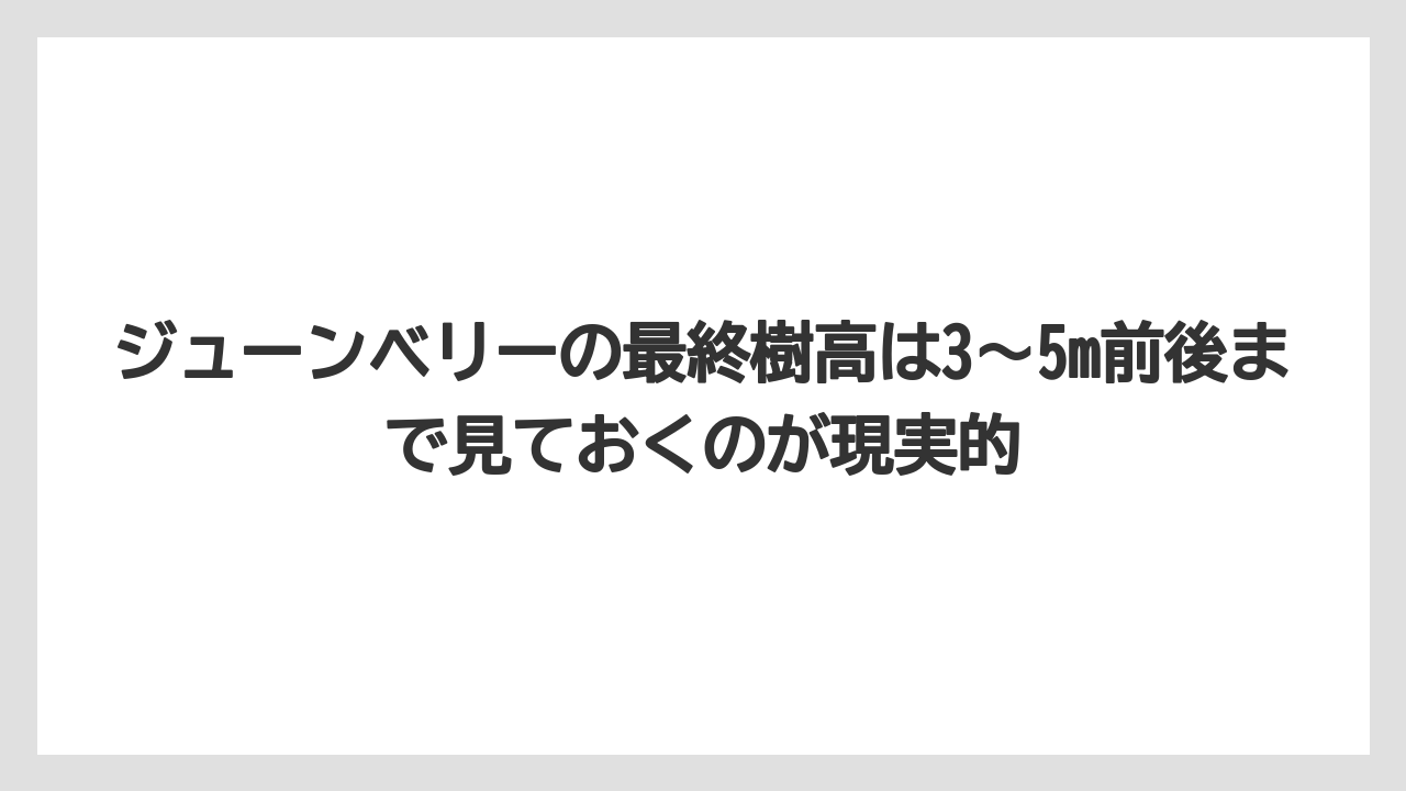 【庭】【後悔】【木】【栽培】ジューンベリーの最終樹高は3〜5m前後まで見ておくのが現実的