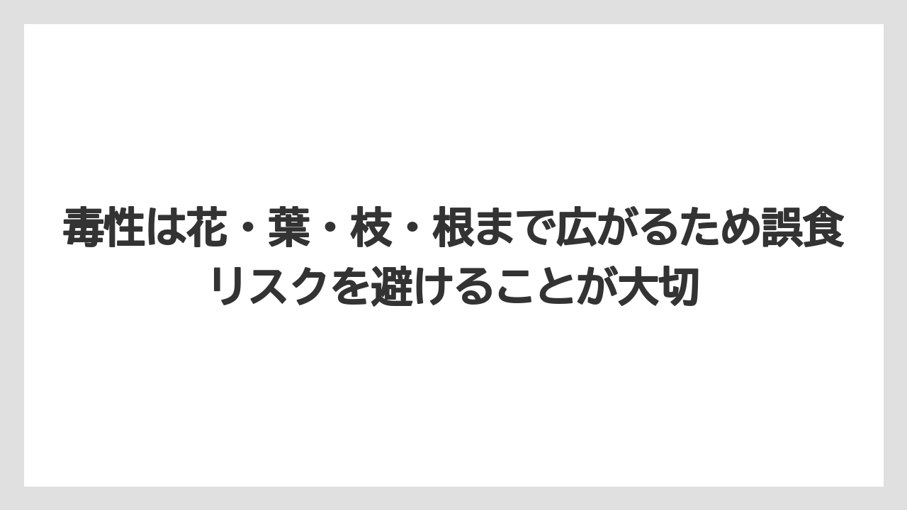 【栽培】【農園】【農業】毒性は花・葉・枝・根まで広がるため誤食リスクを避けることが大切