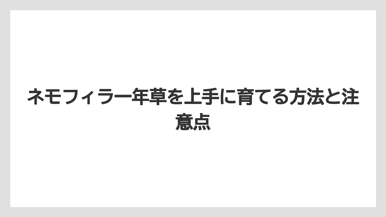 【栽培】【育て方】【草】有名スポット・ひたち海浜公園のネモフィラ品種は「インシグニスブルー」