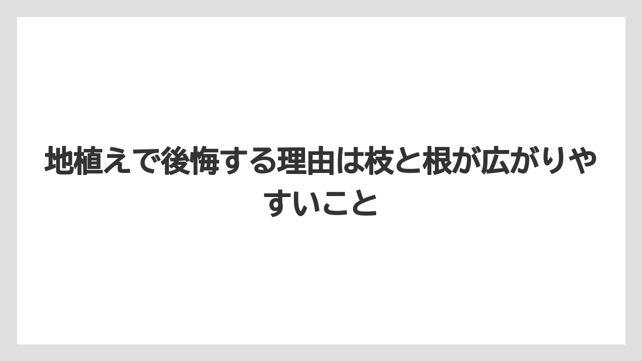 【いけない】【後悔】【栽培】【植え】地植えで後悔する理由は枝と根が広がりやすいこと