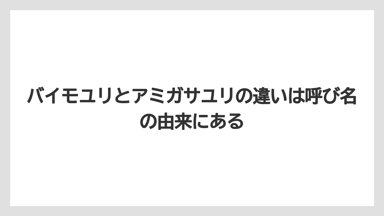【栽培】【農園】【農業】バイモユリとアミガサユリの違いは呼び名の由来にある