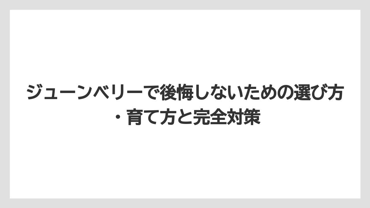 【オリーブ】【栽培】【農業】コンクリートやタイルへの果汁汚れは一度つくと落ちにくい
