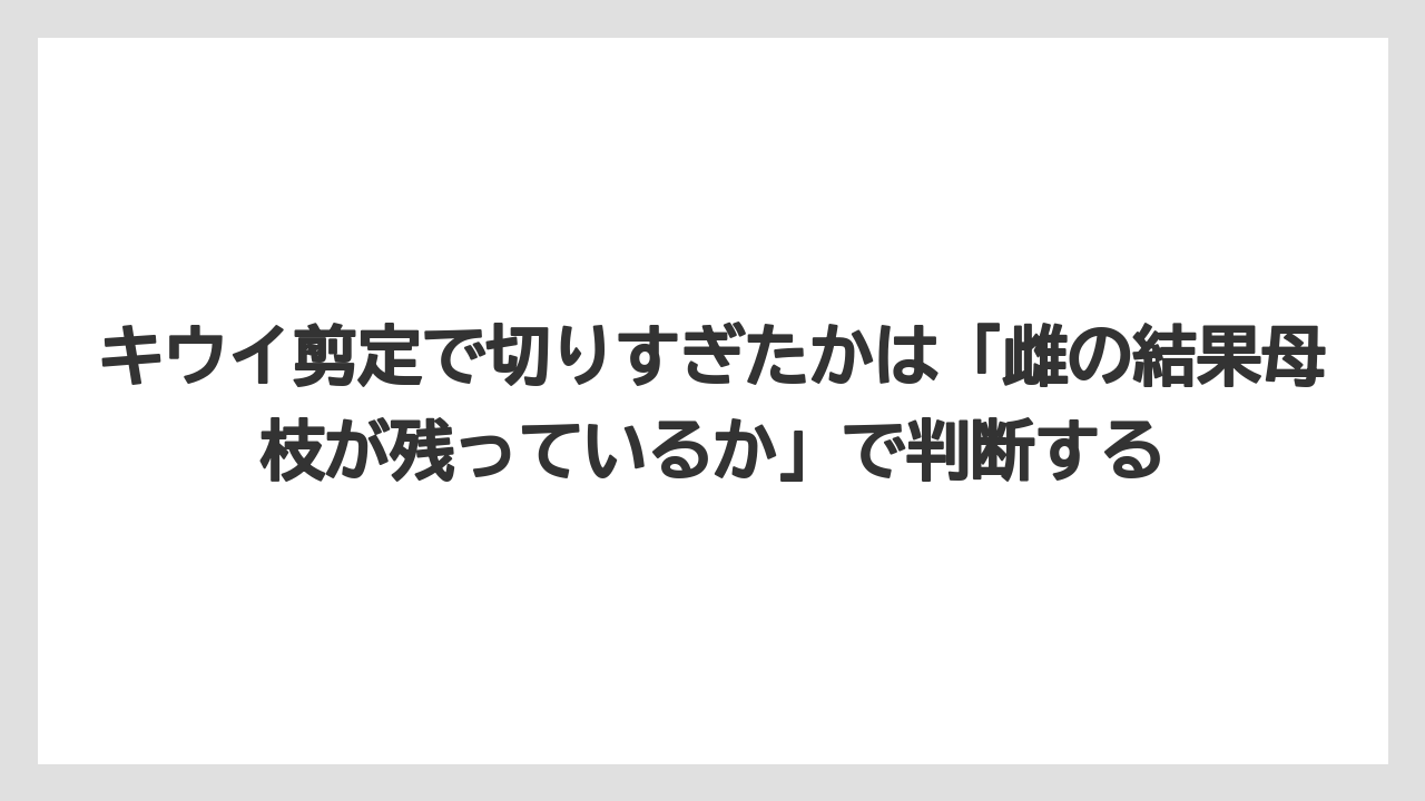 【バラ】【栽培】【農業】キウイ剪定で切りすぎたかは「雌の結果母枝が残っているか」で判断する