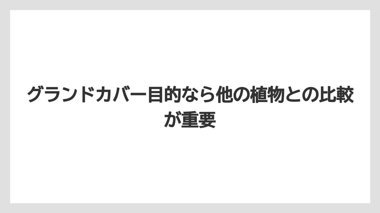 【いけない】【クリーピング】【庭】【後悔】【植え】グランドカバー目的なら他の植物との比較が重要