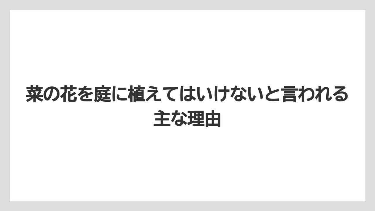 菜の花を庭に植えてはいけないと言われる主な理由