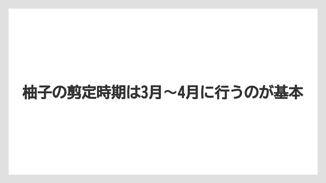 【剪定】【栽培】【農業】柚子の剪定時期は3月〜4月に行うのが基本