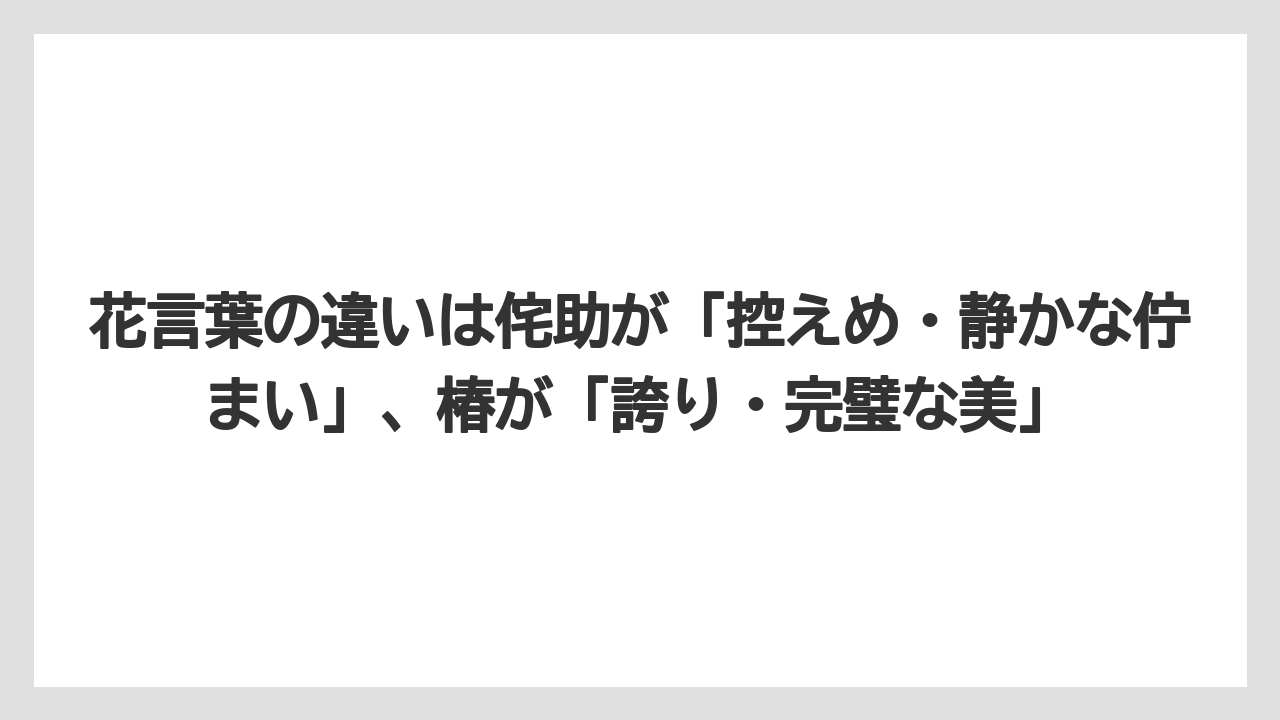 【栽培】【農園】【農業】花言葉の違いは侘助が「控えめ・静かな佇まい」、椿が「誇り・完璧な美」