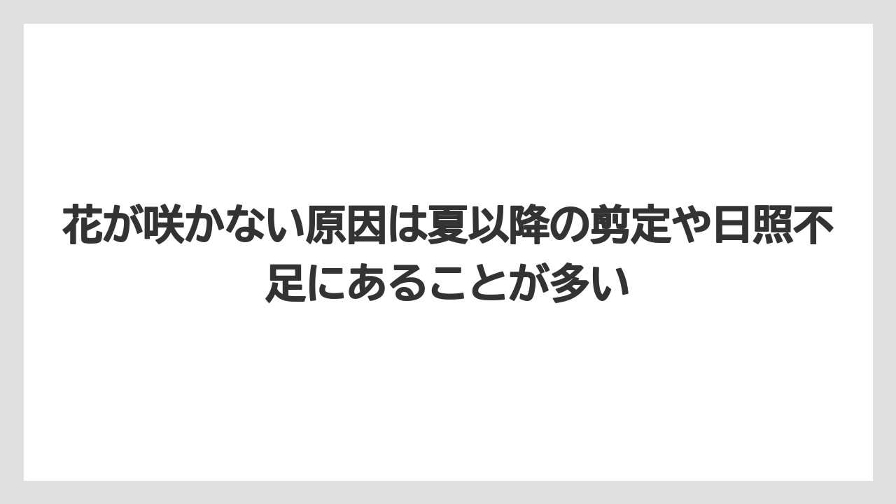 【栽培】【農園】【農業】花が咲かない原因は夏以降の剪定や日照不足にあることが多い