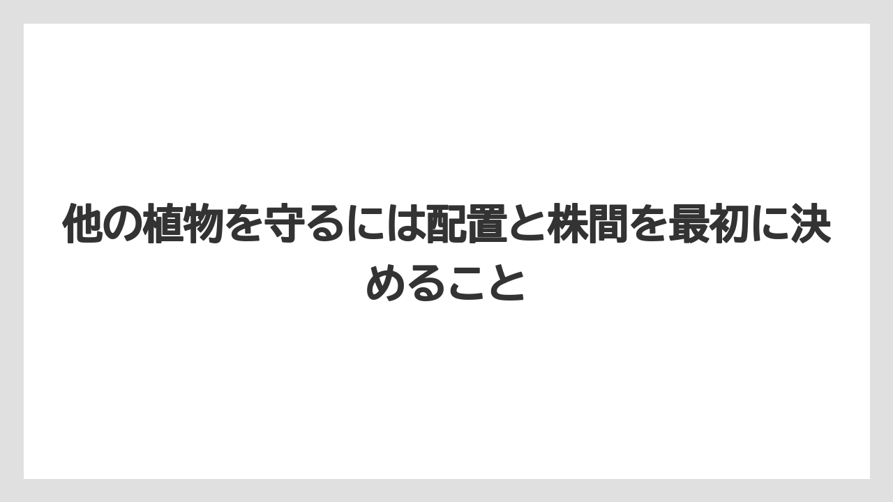 他の植物を守るには配置と株間を最初に決めること