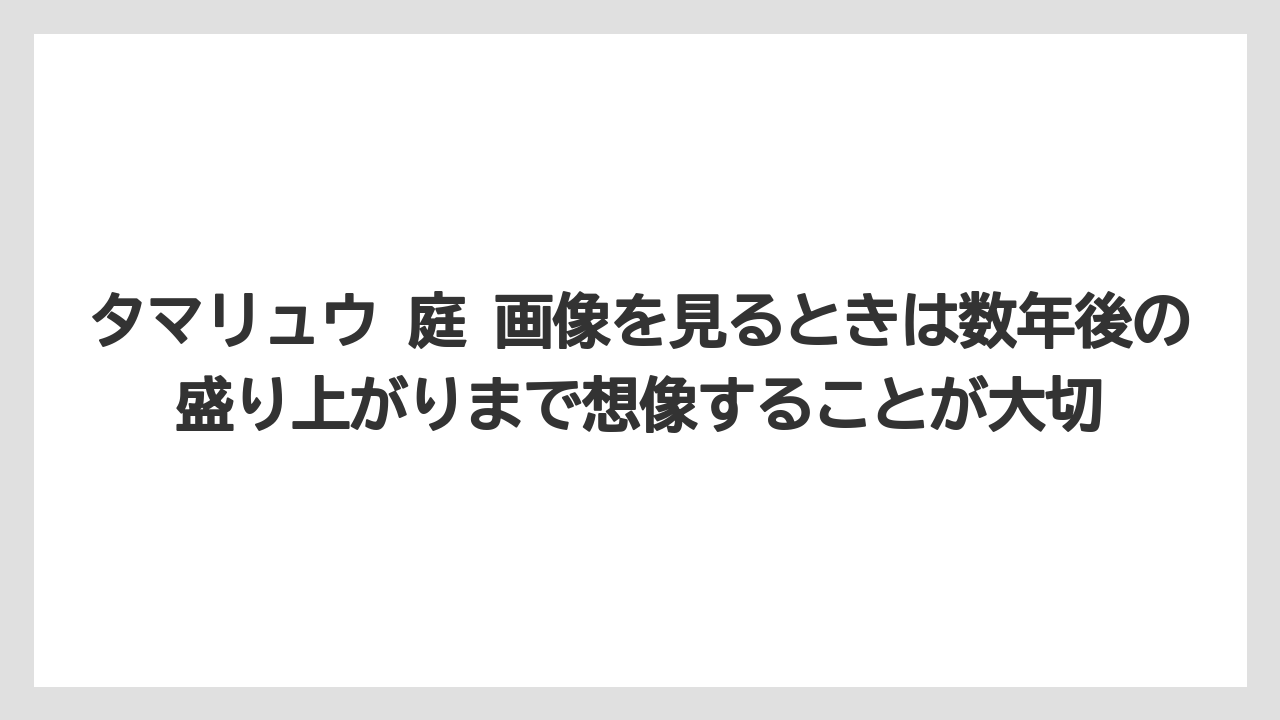 【いけない】【後悔】【栽培】【植え】タマリュウ 庭 画像を見るときは数年後の盛り上がりまで想像することが大切