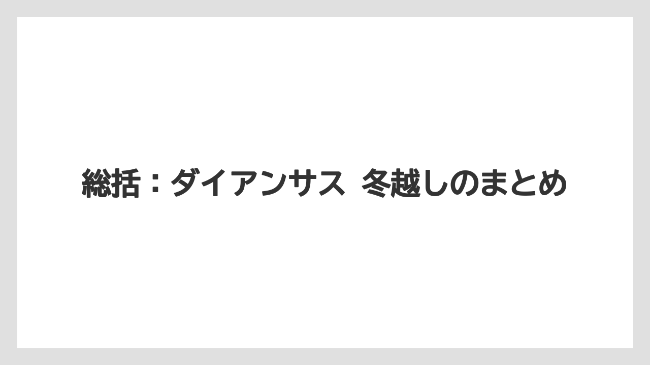 【栽培】【農園】【農業】総括：ダイアンサス 冬越しのまとめ