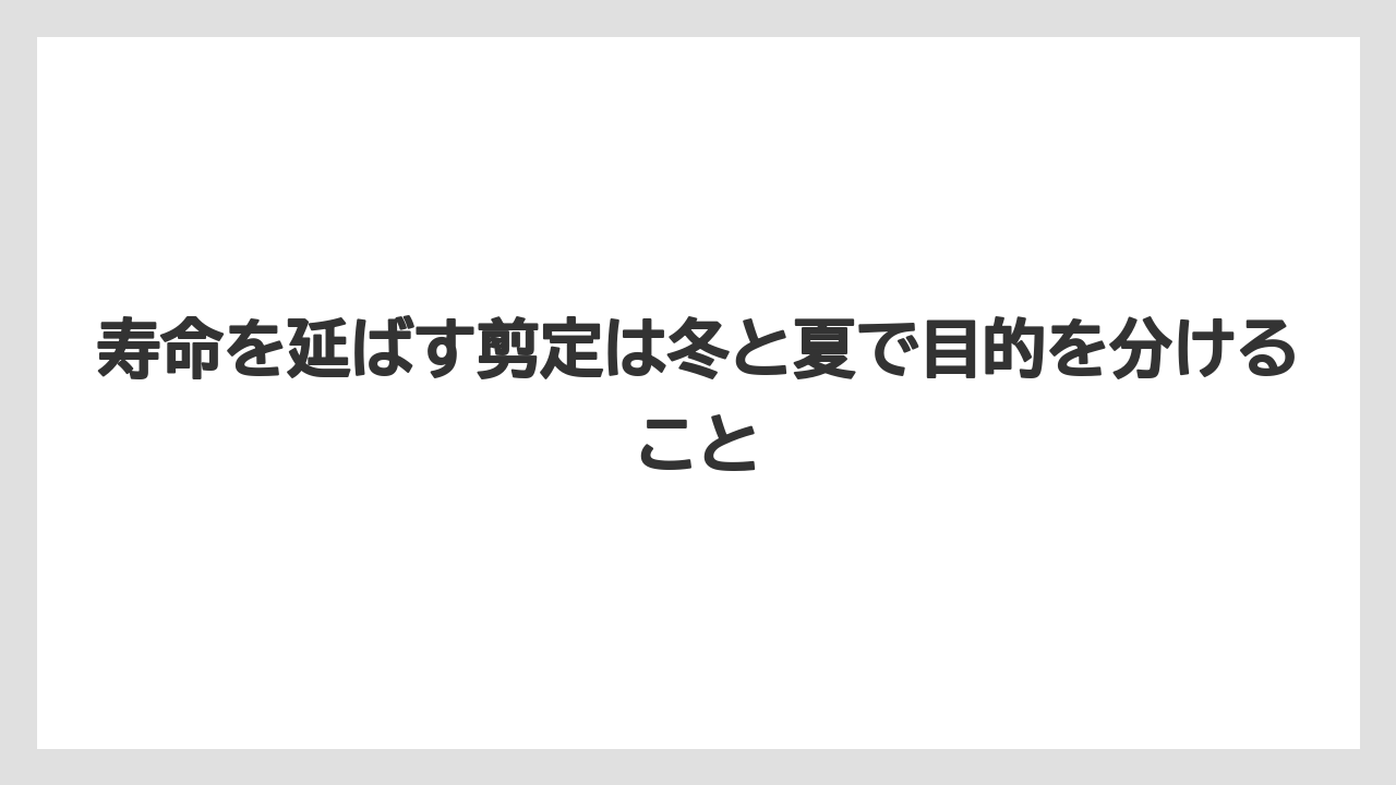 【栽培】【肥料】【農園】【農業】寿命を延ばす剪定は冬と夏で目的を分けること