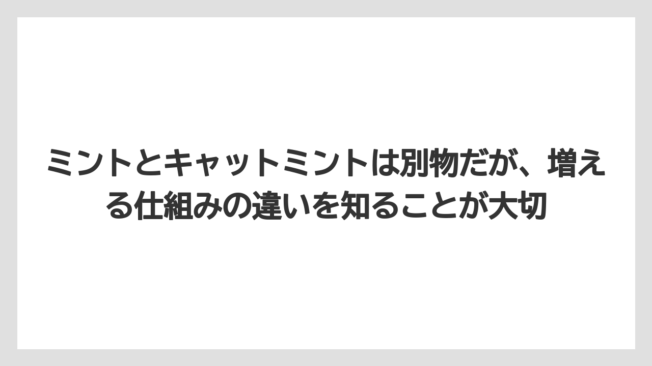 【ミント】【栽培】【猫】ミントとキャットミントは別物だが、増える仕組みの違いを知ることが大切